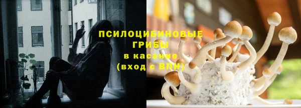 ALPHA PVP Няндома