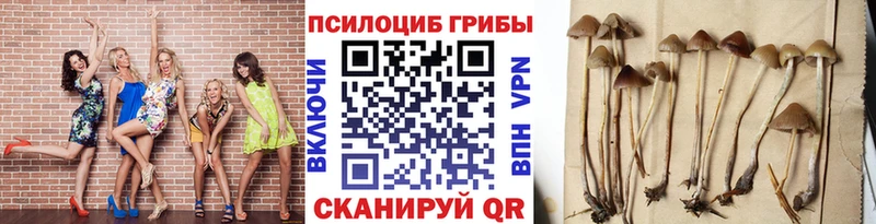 Галлюциногенные грибы GOLDEN TEACHER  Купить закладки  Кызыл 